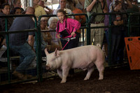 Athens Fair Pig show jpg